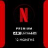 Netflix Subscription 12 Months
